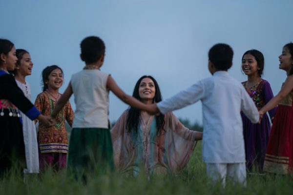 Ce controale pot apărea în domeniul cultural